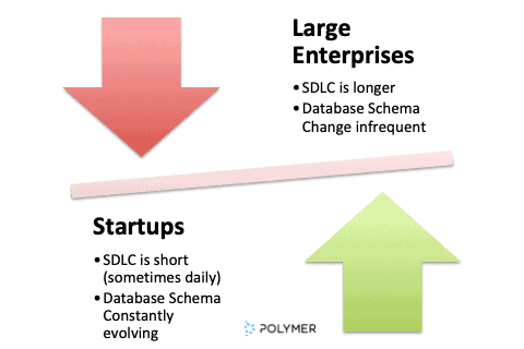 The software development life cycle
