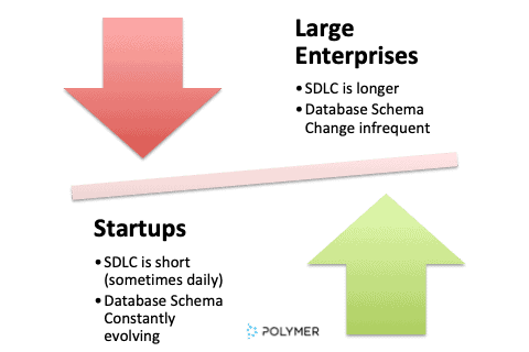 The software development life cycle 