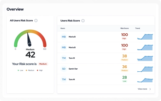 Polymer DLP - Risk Scan Overview Polymer DLP - Risk Scan Overview
