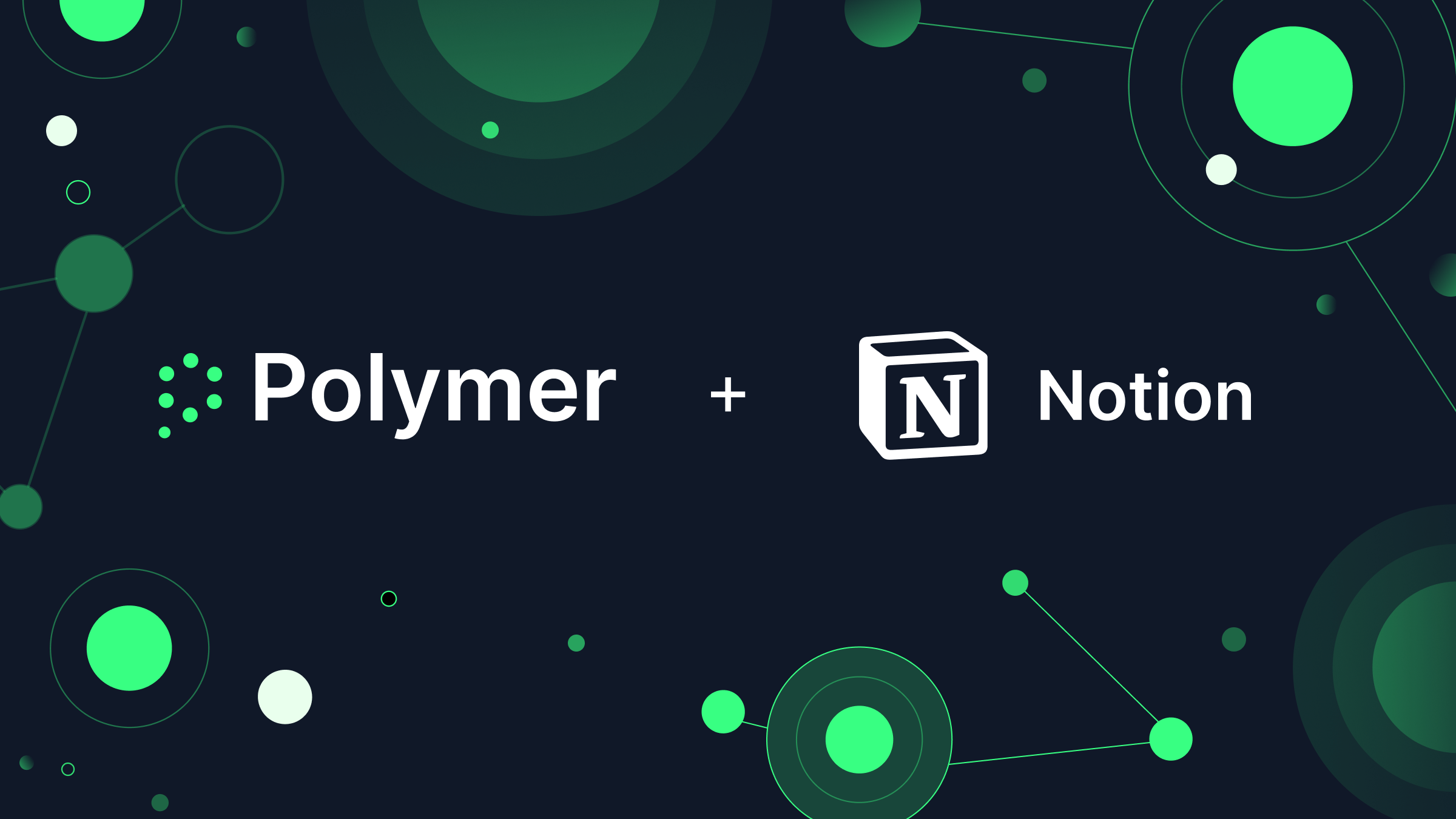 Polymer DLP for Notion